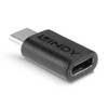 LINDY 41893 USB 3.2 Type C to C Adapter