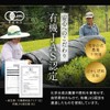 Organic JAS Certified: Orlando Sannen Bancha, 0.07 oz (2 g)