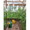 Rolcoassuns 100pcs Drip Irrigation 1/4" Universal Barbed Tee Fittings, 1/4