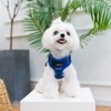 SCENEREAL Puppy Dog Harness with Leash Set for Small Medium