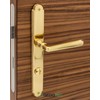Long Plate Door Fitting Brass Door Handle - Old Vienna