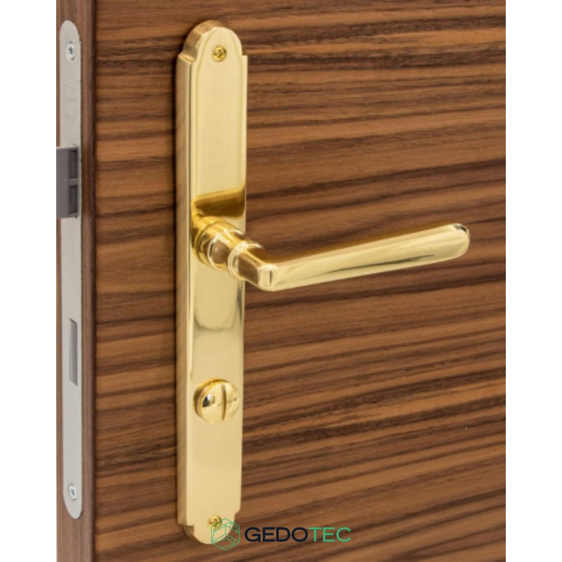 Long Plate Door Fitting Brass Door Handle - Old Vienna