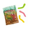 Fun Express - Spring Wriggly Worms Gummy Fun Packs for Spring - Edibles - Soft & Chewy Candy - Gummy - Spring - 18 Pieces