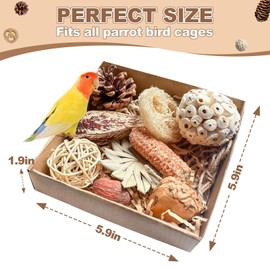 Celblisora Parrot Toy, Bird Toy for Cockatiels, Bird Shredder Toy, Toy for Lovebirds and Parakeets, Cage Accessories for Small Birds