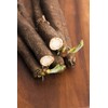 SeedsUP - 100+ Seeds Giant Black Root Salsify - Vegetable