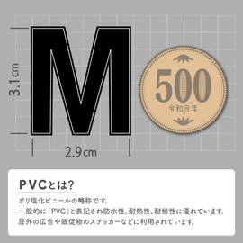 XIAXIN Waterproof PVC Alphabet Sticker Set, Weatherproof, Waterproof, Roman Letters, Nameplate, Nameplate, Locker, Indoor and Outdoor Use TS-544 (1, Black)