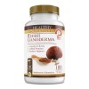 Healthy Superfoods Reishi Ganoderma Puro Premium 100 Capsulas 500mg Sabor