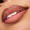 Catrice Plumping Lip Liner, No. 170, Brown, Moisturising, Long-Lasting, Matte,