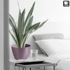 TULMERO Matte Flower Pot, Plastic Planter, Decorative Pot for Large