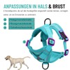 Dog Harness, Dog Harness, Rope Length 150 cm, 1 Dog