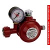 Low Pressure Regulator 50 mbar for Household, Mobile Homes and