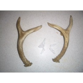 Wind River Set of 2 Cabin Lodge 9 1/4" Faux Deer Antler Cabinet Pull Right Left Wind River