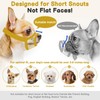 Mayerzon Mesh Muzzle for Short Snout and Small Medium Dogs