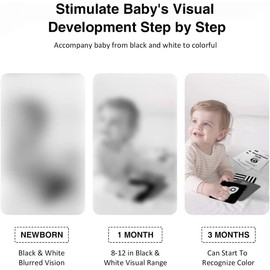 beiens High Contrast Baby Flashcards, Newborn Brain Development Toys, Visual Stimulation Learning Activity Cards, 20 PCs 40 Pages Educational Infants Gift (3-6 Months (Black & White & Color))