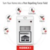 RIDDEX Plus Insect Repellent | Plug in, Mouse Deterrent -