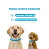 PAWD Calming Collar for Dogs – Vet Recommended Anxiety Relief