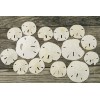 Sand Dollar | Imperfect Real Sand Dollars 2"-3 1/4"| Set