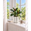 10 Inch Ceramic Plant Pot for Indoor Plants with Drainage