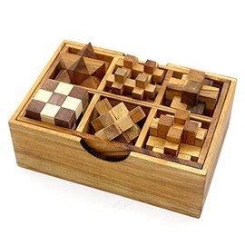 6 Wooden Puzzles Gift Set in A Box