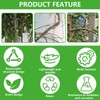 YYTECH Branch Puller Branch Separator for Fruit Trees, Pack of