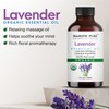 Majestic Pure Majestic Pure USDA Organic Rosemary and Lavender Essential