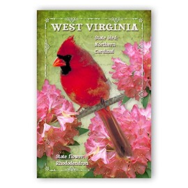 WEST VIRGINIA BIRD AND FLOWER postcard set of 20 identical postcards. WV state symbols post cards. Made in USA.