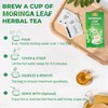 LeafLea 80 Premium Moringa Tea Bags, Moringa Herbal Tea, Made