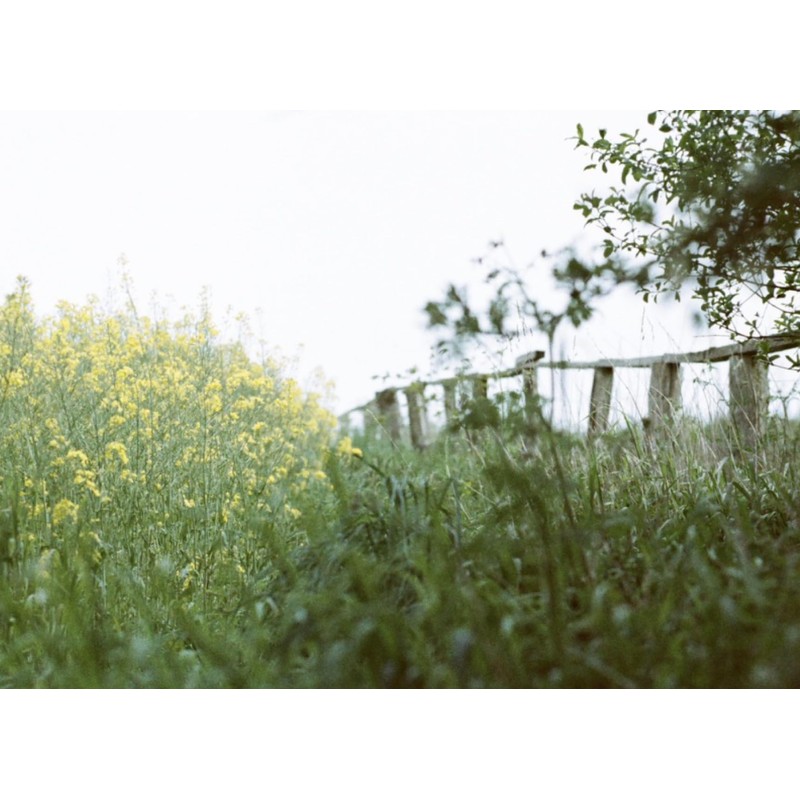 Original Wolfen (Orwo) NC500 Colour Small Film 400 ASA 24