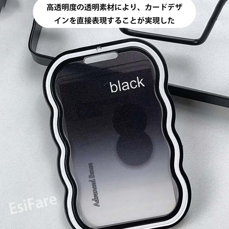 EsiFare Card Holder, Double-Sided Clear Transparent Pass Case, 2-Piece Set,