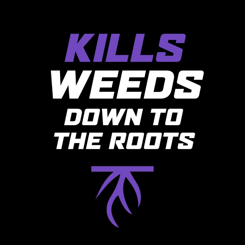 Ortho WeedClear Lawn Weed Killer Ready-to-Use1 Refill, Kills Dandelion and