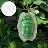 Sosoport Fruit Shaping Mold Plastic Buddha Shaped Cucumber Styling Growth