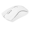 Wireless Mouse 2.4G USB Receiver 800 to 4800 DPI Ergonomic