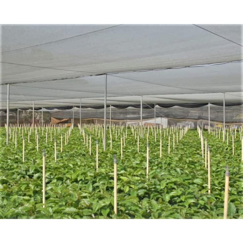 Cafe Crema Instant Coffee Jar, 1.76 oz (Pack of 1)