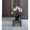 Ohara Industry ST-425 Plastic Utility Stand, Square, Brown