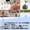 NABESHI Air Plant Folder, Air Plants, Stand, Air Plants, House