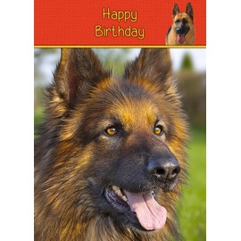 German Shepherd Birthday Card