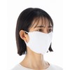 Easy Free Mask, 2 Pieces, Made in Japan, Cupro Cooling,