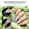CHERIMOYA Kit Tips para Uñas Coffin 240pz + Pegamento 3x10ml