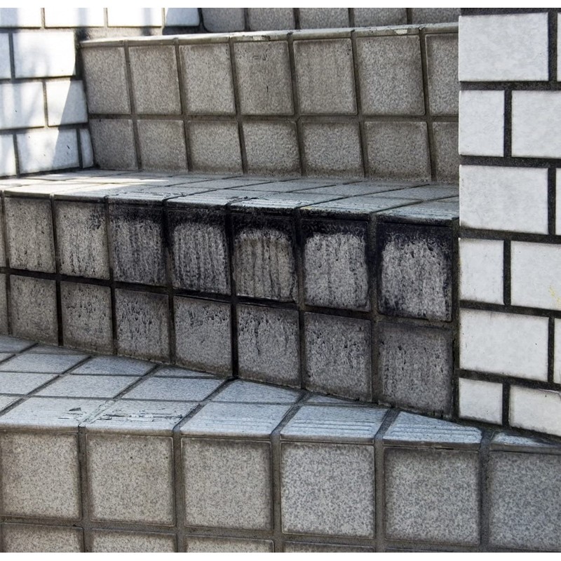 Nihon Miracon Sangyo BOTL-8 Outdoor Washing, 10.1 fl oz (300