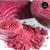 Beet Root Powder 5lbs Non-GMO Bulk Bag | Natural Color