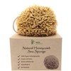 Skin Unique Mediterranean Natural Sea Sponge in Gift Box -