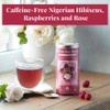 The Republic of Tea - Raspberry Rose Hibiscus Tea, 36