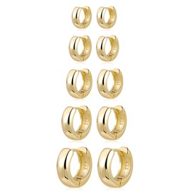 Gold Hoop Earrings Set for Women, 5 Pairs Small Chunky Gold Hoop Earrings Small Thick Huggie Hoops Earrings Set for Women Girls Hypoallergenic Jewelry Gifts
