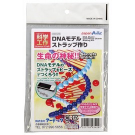 Artec 93429 DNA Model Strap Making