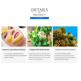 Anskin Modeling Mask Powder Pack Cool Ice for Soothing and Pore Management, 240g