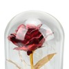 Rose in Glass Dome Lucky Beautiful Symbolism Romantic Enchanted Rose