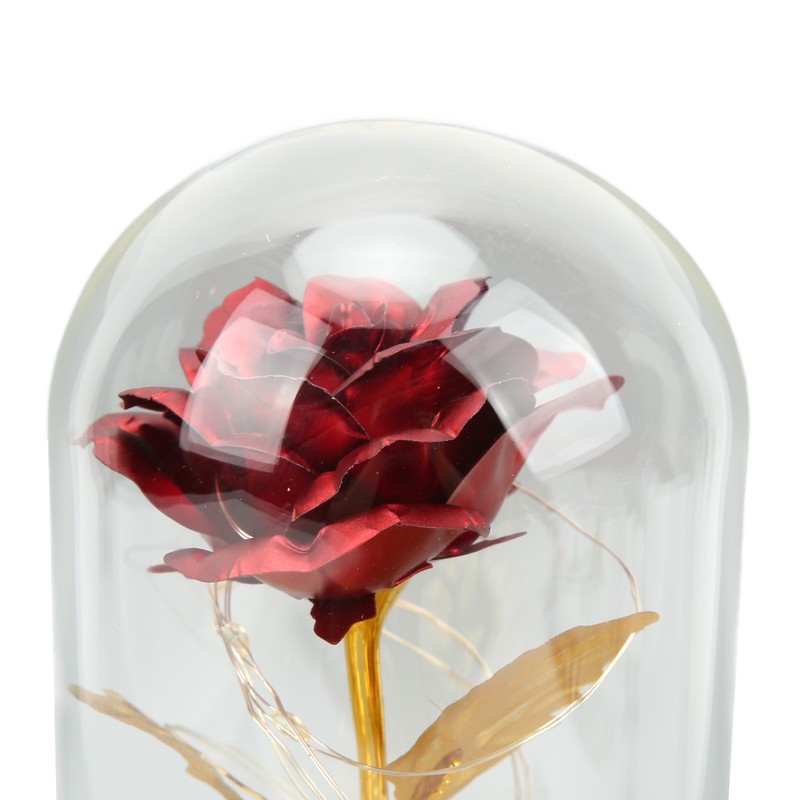 Rose in Glass Dome Lucky Beautiful Symbolism Romantic Enchanted Rose