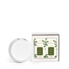 Thymes Frasier Fir Pura 4 Smart Fragrance Diffuser Kit -