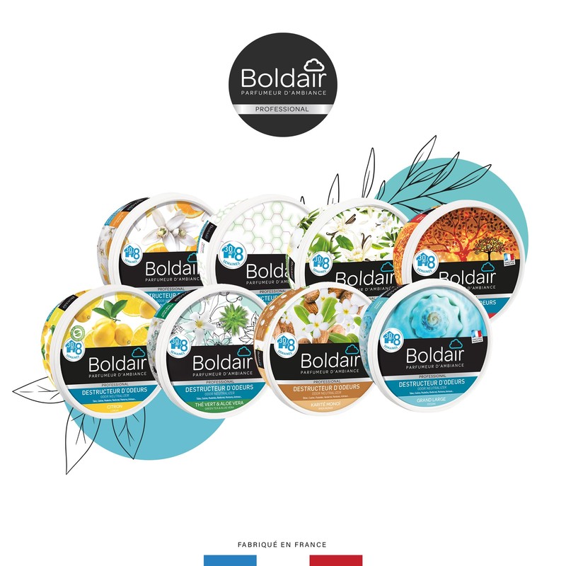 Boldair – Gel Distruggidocumenti odori Limone