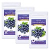Dainichi Healthy Foods Blueberry Lutein 120 Tablets (Tablet Type) x
